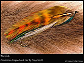 Fly